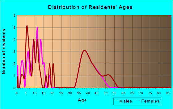 Age and Sex of Residents in Rochester Heights in Iowa City, IA
