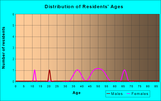 Age and Sex of Residents in Irish Tract in Iowa City, IA