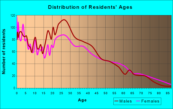 Age and Sex of Residents in Michael Lane Area in Addison, IL