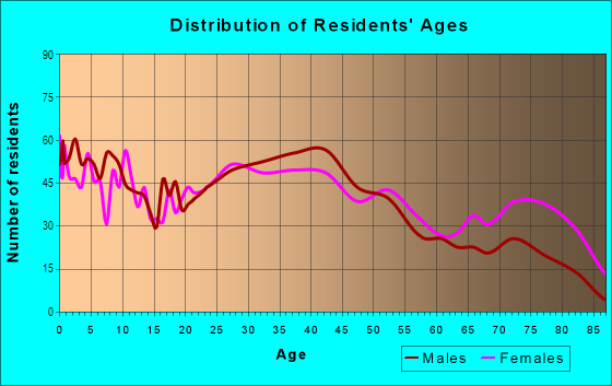 Age and Sex of Residents in Little Palestine in Bridgeview, IL