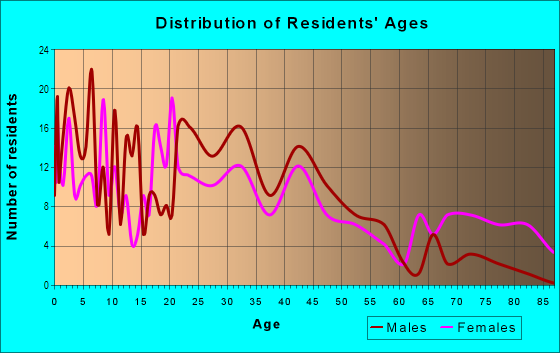Age and Sex of Residents in Seventh Street District in Rockford, IL