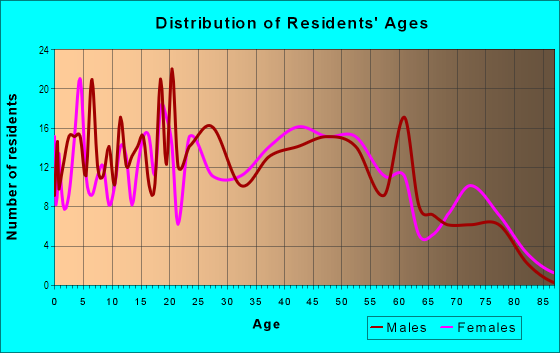 Age and Sex of Residents in Downtown in Portage, IN