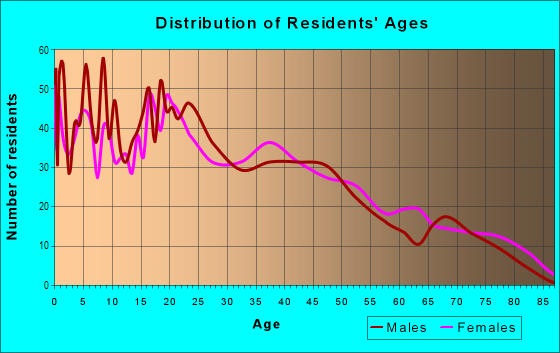 Age and Sex of Residents in Northside in East Chicago, IN