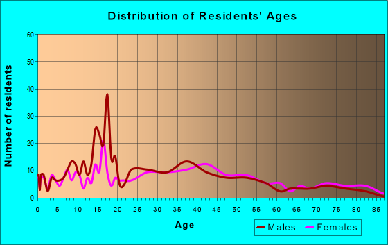 Age and Sex of Residents in Five Points in Fort Wayne, IN