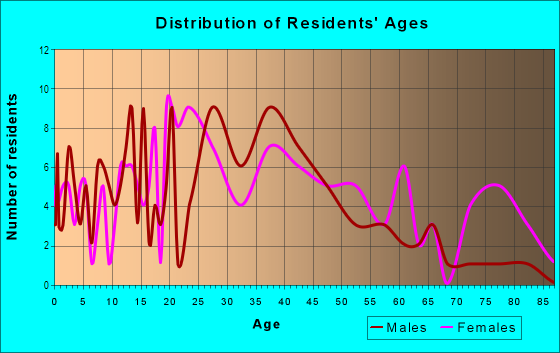Age and Sex of Residents in Downtown in Hobart, IN