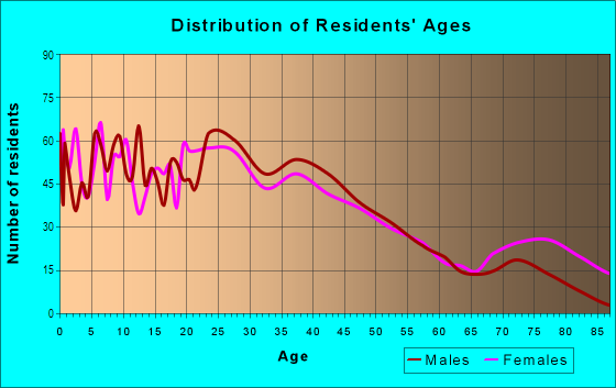 Age and Sex of Residents in Downtown Fitchburg in Fitchburg, MA