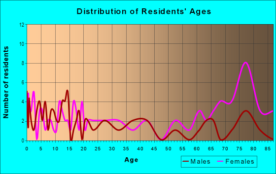 Age and Sex of Residents in the Patch in Fitchburg, MA
