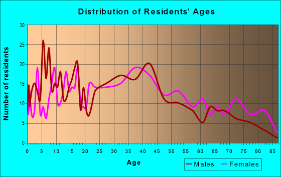 Age and Sex of Residents in Webster Square in Worcester, MA