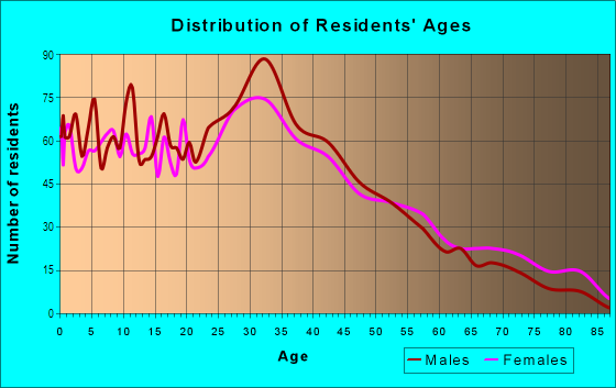 Age and Sex of Residents in Belle Circle in Revere, MA