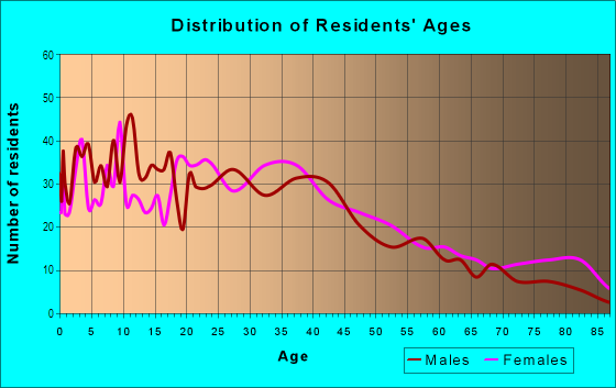 Age and Sex of Residents in Downtown in Southbridge, MA