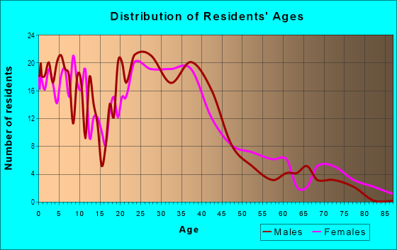 Age and Sex of Residents in Chelsea Square in Chelsea, MA