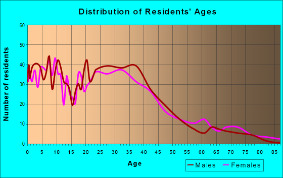 Age and Sex of Residents in Bellingham Square in Chelsea, MA