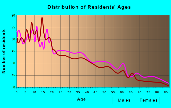 Age and Sex of Residents in Memorial Square in Springfield, MA