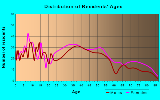 Age and Sex of Residents in Boston Road in Springfield, MA