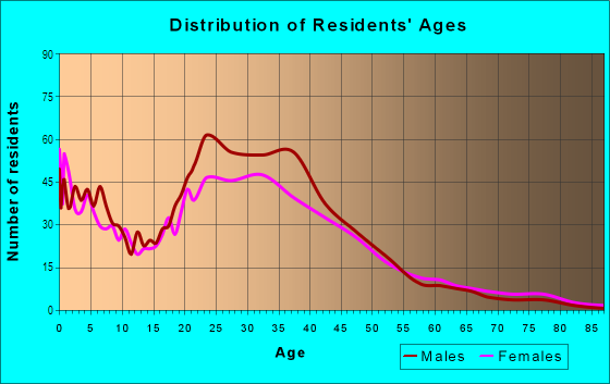 Age and Sex of Residents in International Corridor in Hyattsville, MD