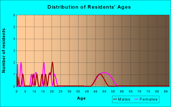 Age and Sex of Residents in Central Business District in Trenton, MI