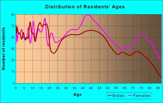 Age and Sex of Residents in North End in Port Huron, MI