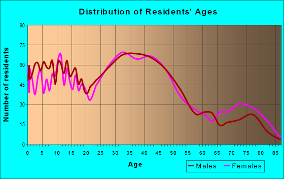 Age and Sex of Residents in Downtown Redford in Redford, MI