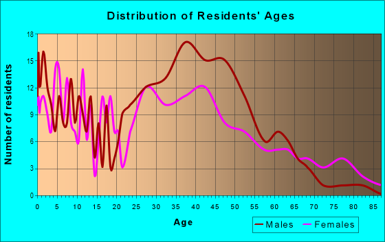 Age and Sex of Residents in Downtown Pontiac in Pontiac, MI
