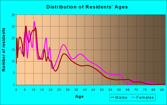 Age and Sex of Residents in Westwood Park in Detroit, MI