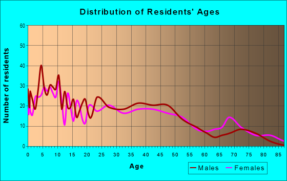 Age and Sex of Residents in Delray in Detroit, MI