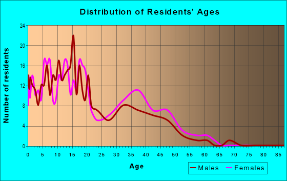 Age and Sex of Residents in Zocalo Gardens in Somerton, AZ