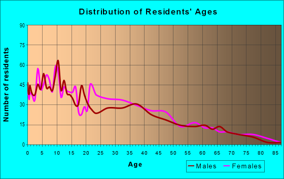 Age and Sex of Residents in Chaldean Town in Highland Park, MI