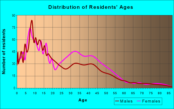 Age and Sex of Residents in Pulaski in Detroit, MI