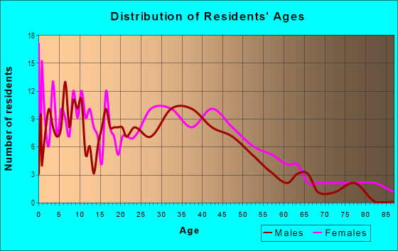 Age and Sex of Residents in Basset Park in Lansing, MI