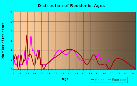 Age and Sex of Residents in Beierman Farms in Warren, MI