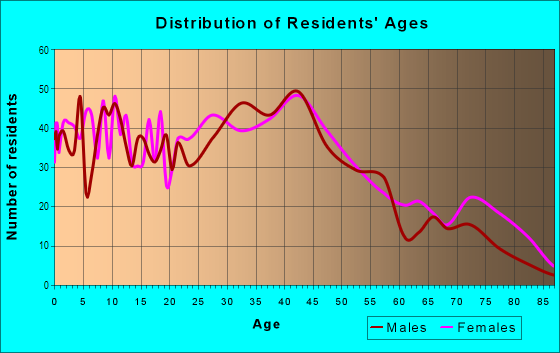 Age and Sex of Residents in Downtown Melvindale in Melvindale, MI