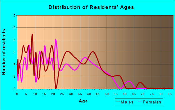 Age and Sex of Residents in Hunter Park West in Lansing, MI