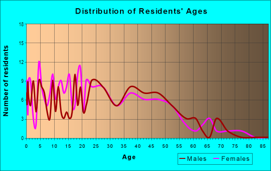 Age and Sex of Residents in Grand Traverse Street in Flint, MI