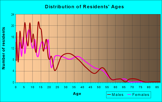 Age and Sex of Residents in Amistad Estates in Somerton, AZ