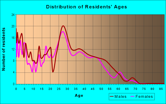 Age and Sex of Residents in Ramsey Town Center in Anoka, MN
