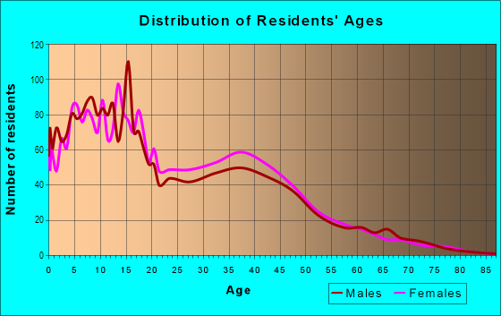 Age and Sex of Residents in Bienestar Estates in San Luis, AZ