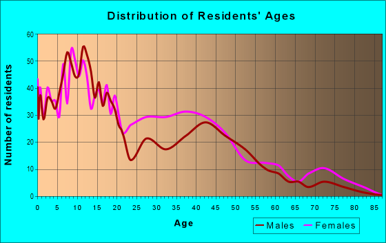 Age and Sex of Residents in Hyde Park in Saint Louis, MO