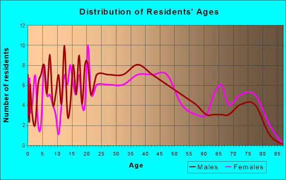 Age and Sex of Residents in Bel-Air in Minot, ND