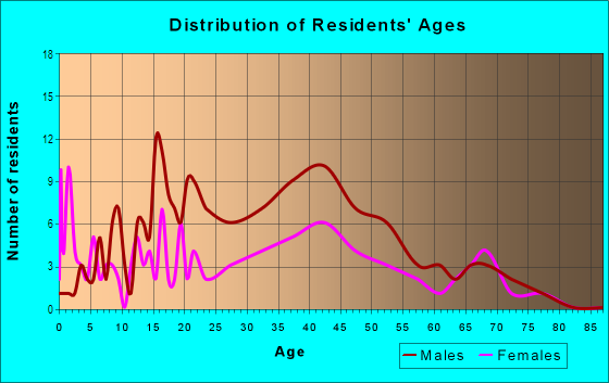 Age and Sex of Residents in Yankee Hill in Lincoln, NE