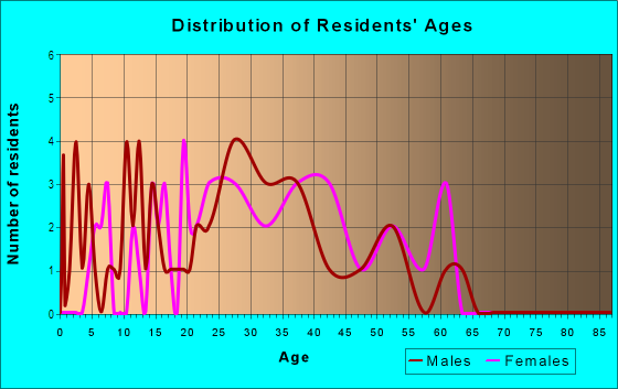 Age and Sex of Residents in Hillside Estates in Derry, NH