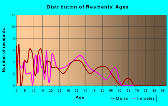 Age and Sex of Residents in Woodland Village in Londonderry, NH