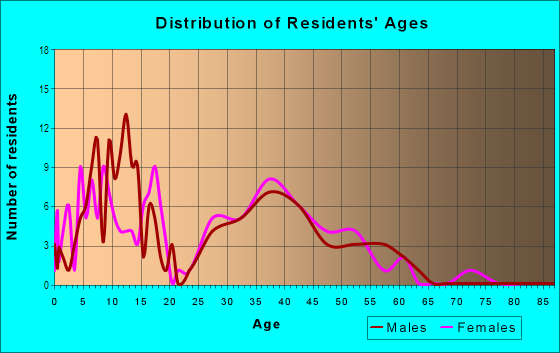 Age and Sex of Residents in Whittemore Estates in Derry, NH