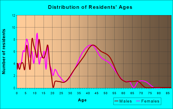 Age and Sex of Residents in Town Centre in Londonderry, NH