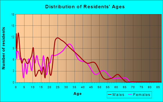 Age and Sex of Residents in Harbortown in Perth Amboy, NJ
