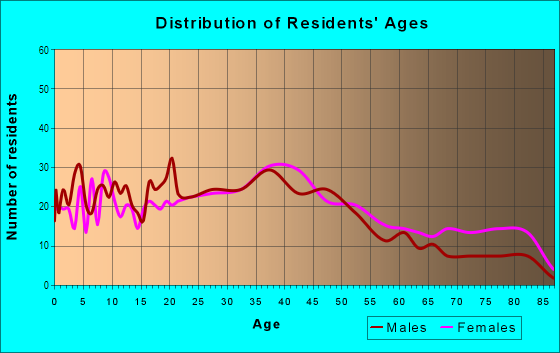 Age and Sex of Residents in Chickentown in Perth Amboy, NJ