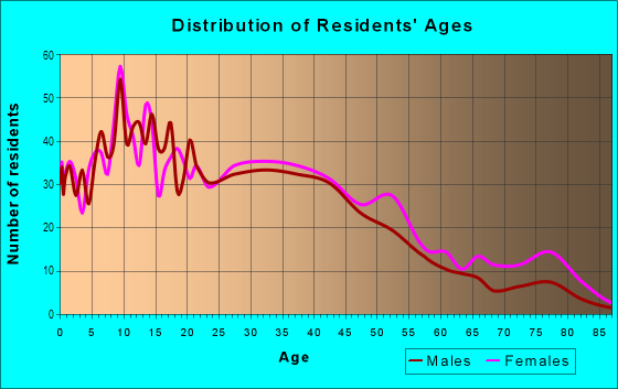 Age and Sex of Residents in Downtown in Millville, NJ
