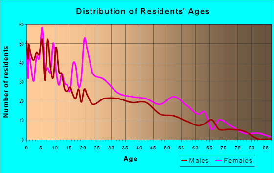 Age and Sex of Residents in Morgan Village in Camden, NJ