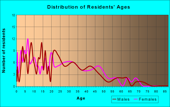 Age and Sex of Residents in Bunker Hill in Paterson, NJ