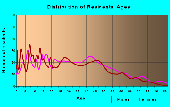 Age and Sex of Residents in Bergen Hill in Jersey City, NJ