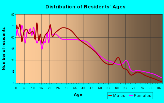 Age and Sex of Residents in New Point Road in Elizabeth, NJ